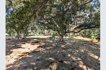 15340 NW 65th Avenue Road, Reddick, FL 32686 - Photo 41