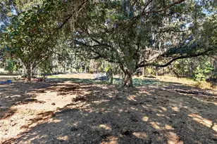 15340 NW 65th Ave Rd, Reddick, FL 32686 - Photo 41