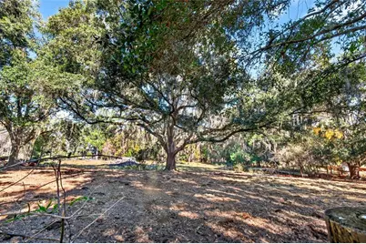 15340 NW 65th Avenue Road, Reddick, FL 32686 - Photo 23