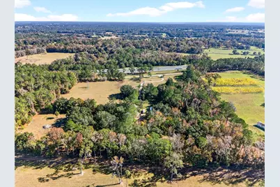 15340 NW 65th Avenue Road, Reddick, FL 32686 - Photo 29