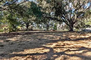 15340 NW 65th Ave Rd, Reddick, FL 32686 - Photo 43