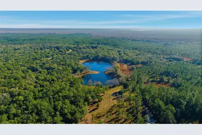 Tbd (Lot 3) NE 115th Lane Road, Fort Mc Coy, FL 32134 - Photo 3