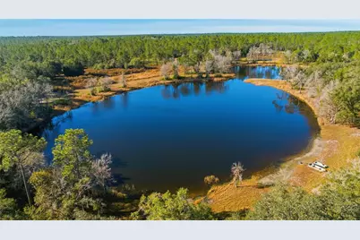 Tbd (Lot 3) NE 115th Lane Road, Fort Mc Coy, FL 32134 - Photo 5