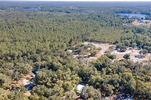 13168 NE 19th Ln, Silver Springs, FL 34488 - Photo 75