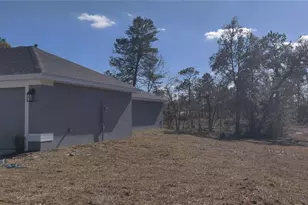 12334 Snow Goose Ave, Brooksville, FL 34614 - Photo 21