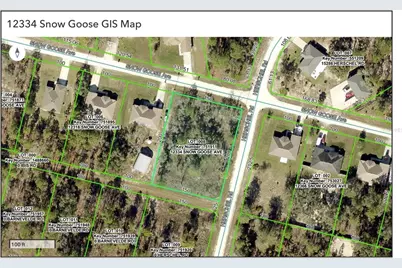 12334 Snow Goose Avenue, Brooksville, FL 34614 - Photo 3