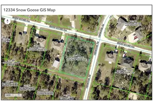 12334 Snow Goose Ave, Brooksville, FL 34614 - Photo 3