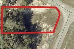 00 Maple Ln, Ocklawaha, FL 32179 - Photo 1