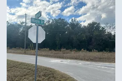 00 Maple Lane, Ocklawaha, FL 32179 - Photo 9