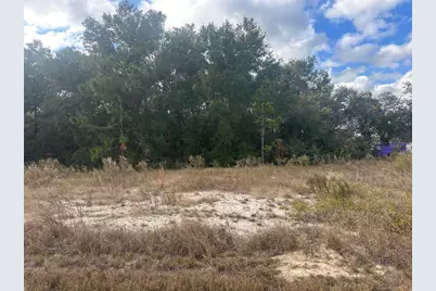 00 Maple Lane, Ocklawaha, FL 32179 - Photo 5