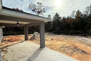 120 Guava Pass, Ocklawaha, FL 32179 - Photo 13