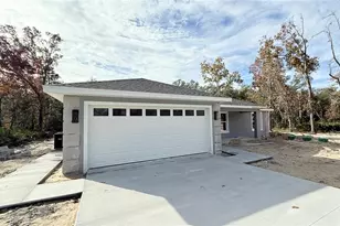 120 Guava Pass, Ocklawaha, FL 32179 - Photo 1