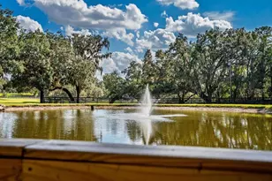 8583 NW 130th St, Reddick, FL 32686 - Photo 83