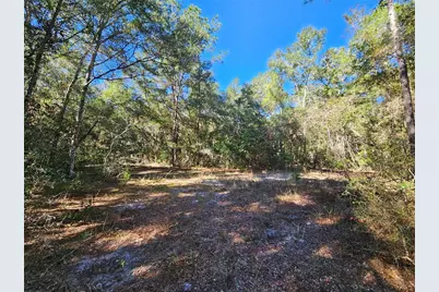 Tbd NE 175th Avenue, Williston, FL 32696 - Photo 7