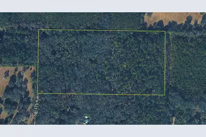 Tbd NE 175th Avenue, Williston, FL 32696 - Photo 3