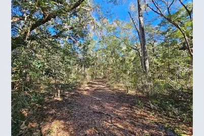 Tbd NE 175th Avenue, Williston, FL 32696 - Photo 5