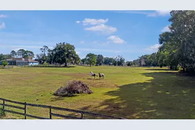 16421 W Highway 326, Morriston, FL 32668 - Photo 5