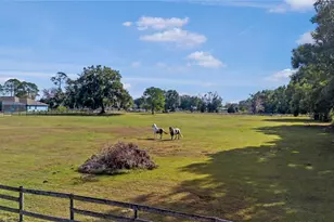 16421 W Hwy 326, Morriston, FL 32668 - Photo 5