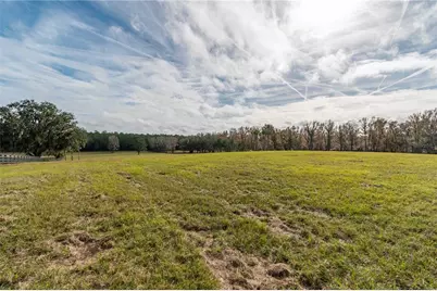 Tbd Hwy 329, Reddick, FL 32686 - Photo 37