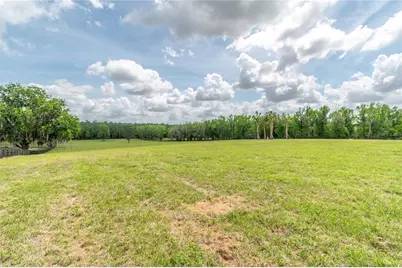 Tbd Hwy 329, Reddick, FL 32686 - Photo 9