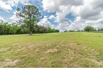 Tbd Hwy 329, Reddick, FL 32686 - Photo 13