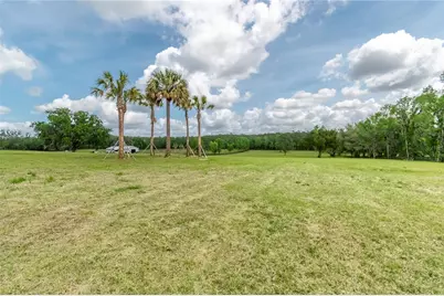 Tbd Hwy 329, Reddick, FL 32686 - Photo 7
