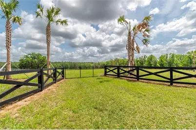 Tbd Hwy 329, Reddick, FL 32686 - Photo 3