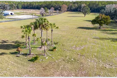 Tbd Hwy 329, Reddick, FL 32686 - Photo 13