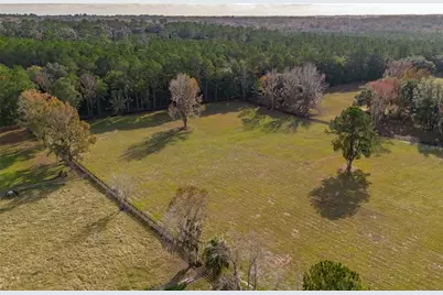Tbd Hwy 329, Reddick, FL 32686 - Photo 9