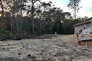 14159 Goldfinch Rd, Brooksville, FL 34614 - Photo 7