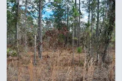 Tbd NE 150th Avenue, Williston, FL 32696 - Photo 1