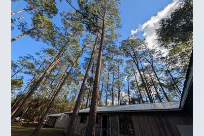 161 Riley Lake Drive, Hawthorne, FL 32640 - Photo 17