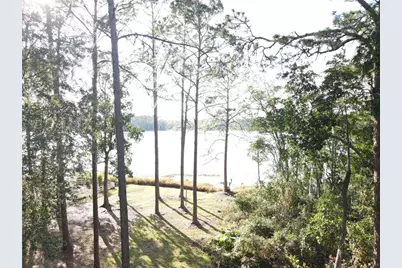 161 Riley Lake Drive, Hawthorne, FL 32640 - Photo 9