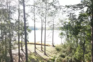 161 Riley Lk Dr, Hawthorne, FL 32640 - Photo 9