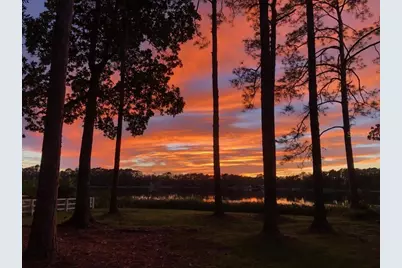 161 Riley Lake Drive, Hawthorne, FL 32640 - Photo 5