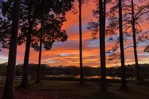 161 Riley Lk Dr, Hawthorne, FL 32640 - Photo 5