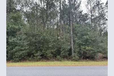 Sw Beach Boulevard, Dunnellon, FL 34431 - Photo 1