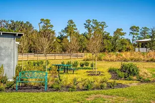 15305 NW 112th Place Rd, Morriston, FL 32668 - Photo 35