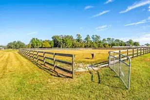 15305 NW 112th Place Rd, Morriston, FL 32668 - Photo 15