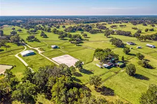 15305 NW 112 Pl Rd, Morriston, FL 32668 - Photo 81