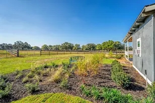 15305 NW 112 Pl Rd, Morriston, FL 32668 - Photo 29
