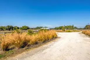 15305 NW 112th Place Rd, Morriston, FL 32668 - Photo 5