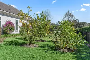 8746 NW 31st Lane Rd, Ocala, FL 34482 - Photo 83