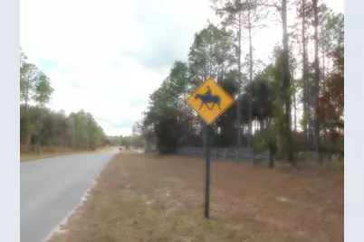 Se 120 Court, Morriston, FL 32668 - Photo 1