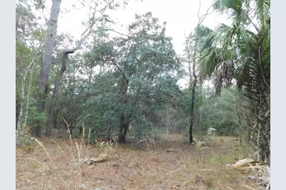 Se 120 Court, Morriston, FL 32668 - Photo 7