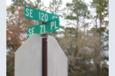 Se 120 Court, Morriston, FL 32668 - Photo 11