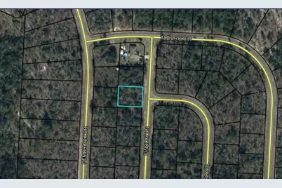 Lot 16 Unit 6 Blk 392 Findlay Lane, Chipley, FL 32428 - Photo 1