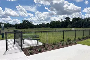 12695 NW 13th Ln, Newberry, FL 32669 - Photo 13