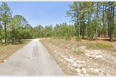 00 NW Narcissus Road, Dunnellon, FL 34431 - Photo 3