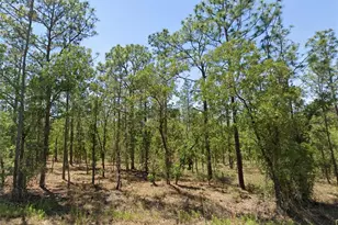 00 NW Narcissus Rd, Dunnellon, FL 34431 - Photo 1